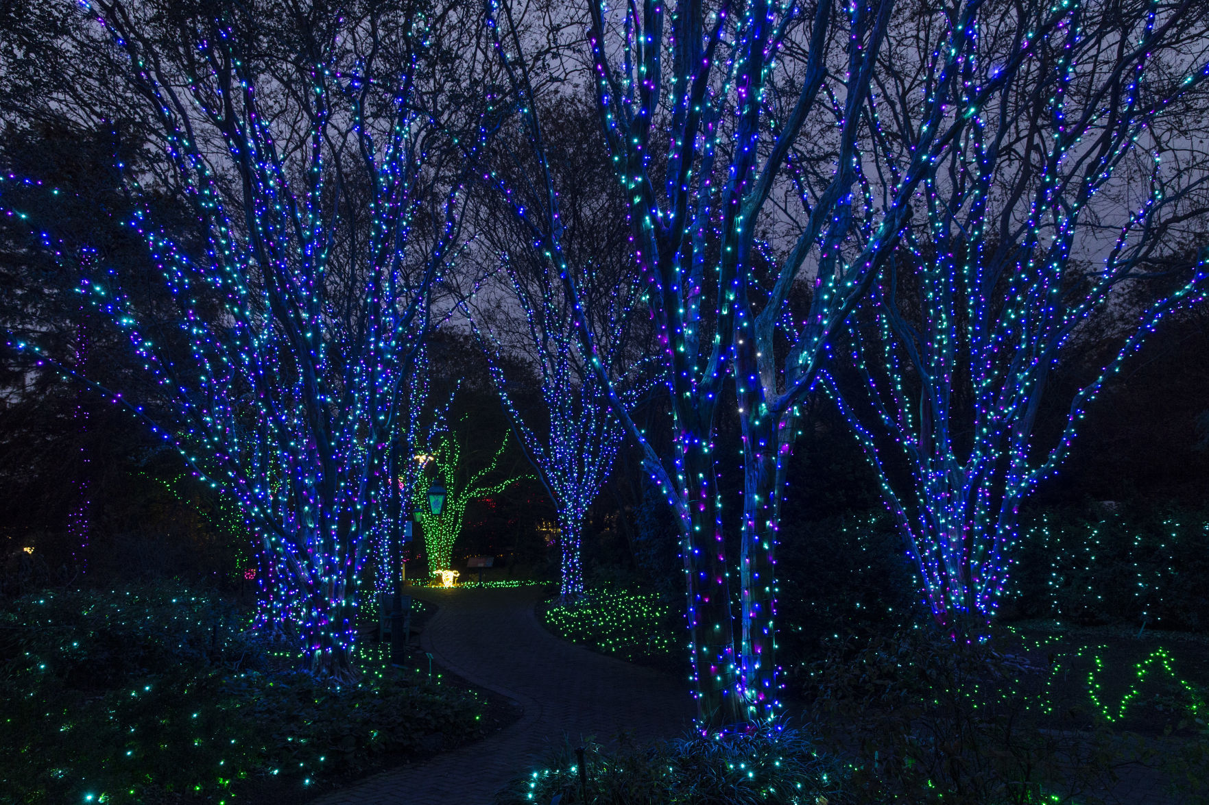 GardenFest of Lights